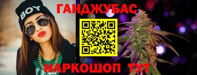 PSILOCYBIN Гатчина