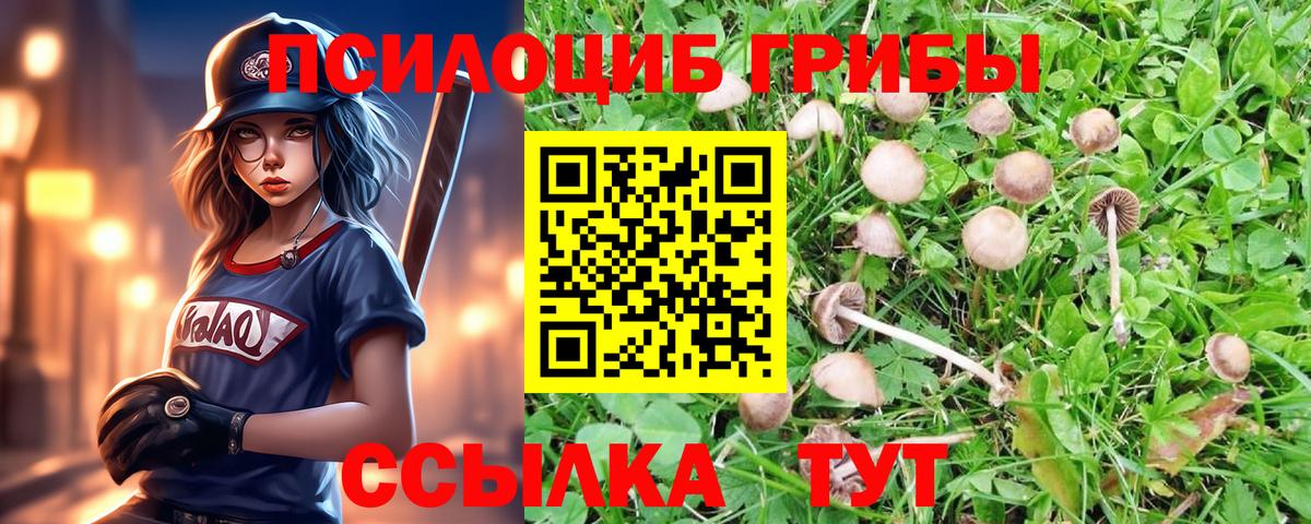 Галлюциногенные грибы мицелий Нефтекамск