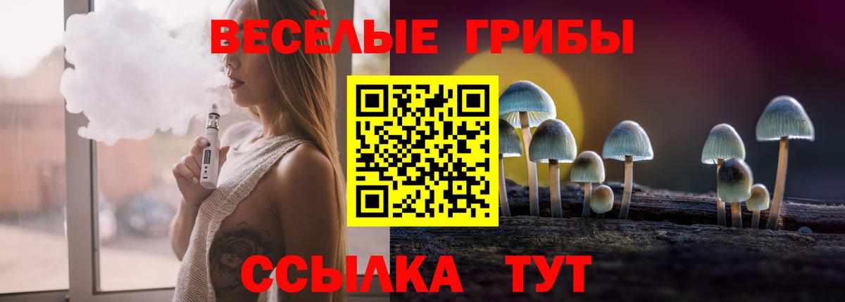 Псилоцибиновые грибы Psilocybine cubensis  Вход с VPN  Галлюциногенные грибы мицелий  Нефтекамск 